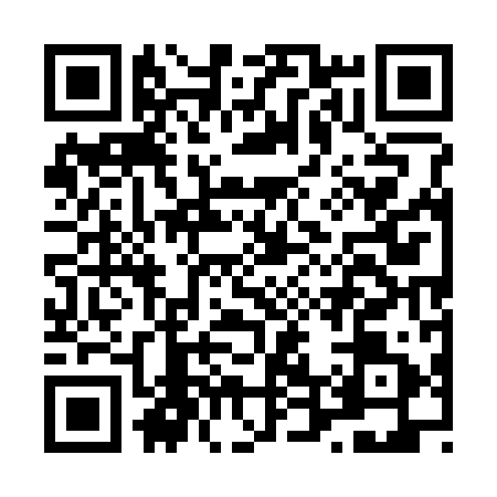 QR code for L453918