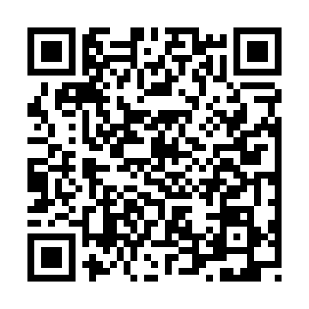 QR code for L460787