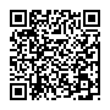 QR code for L461264
