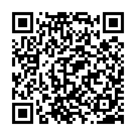 QR code for L46595