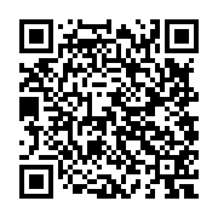 QR code for L46851