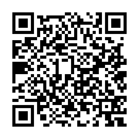 QR code for L471338