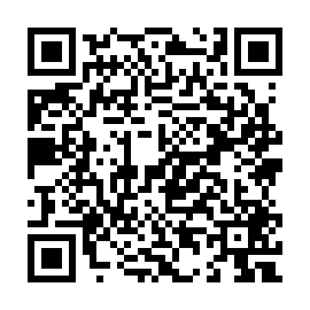 QR code for L493496