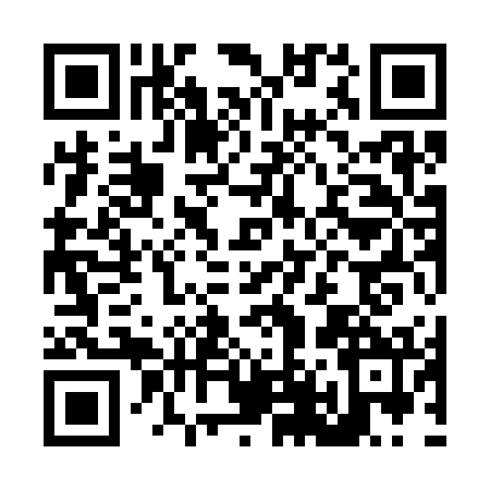 QR code for L493725