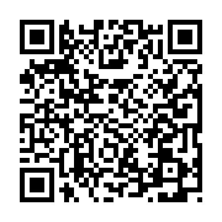 QR code for L495615