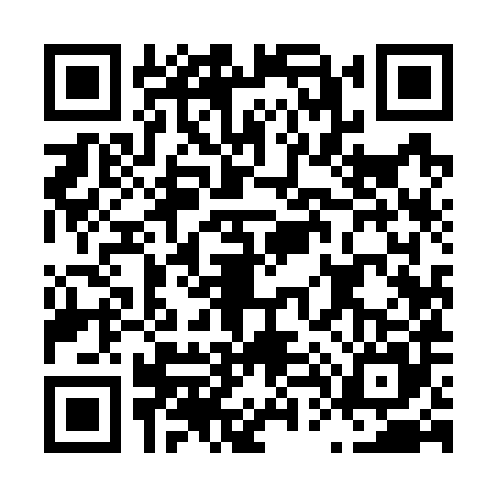 QR code for L497855