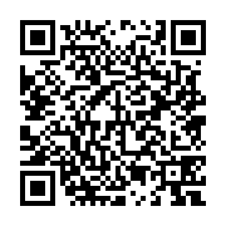 QR code for L505785