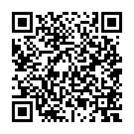 QR code for L507487