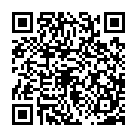 QR code for L507540