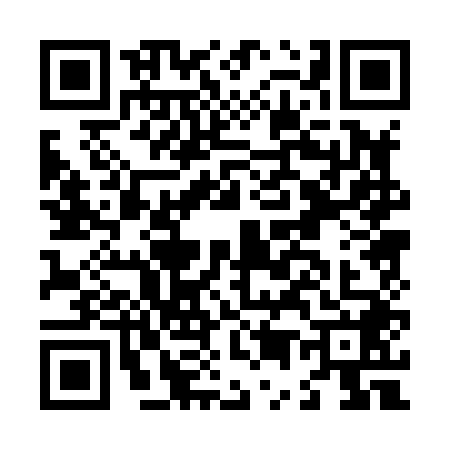 QR code for L508487