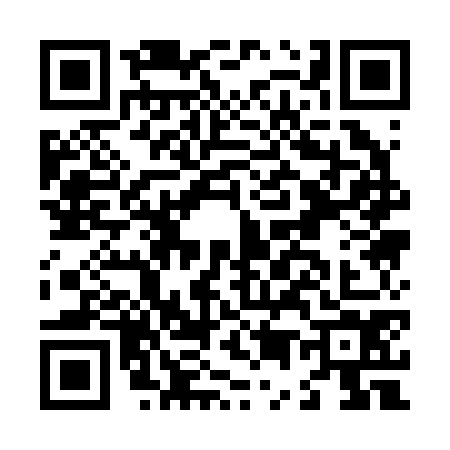 QR code for L512743