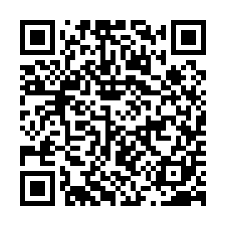 QR code for L53101