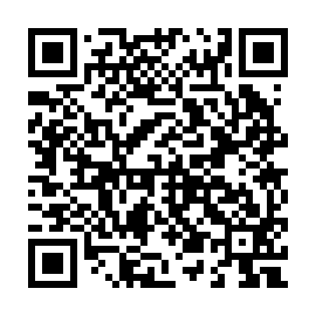 QR code for L53293