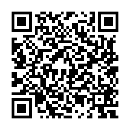 QR code for L538495