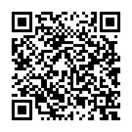 QR code for L540246
