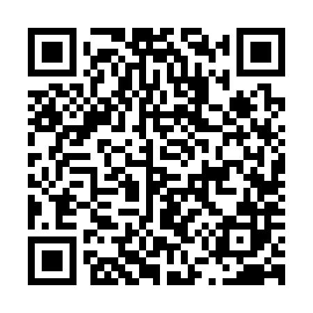 QR code for L56382