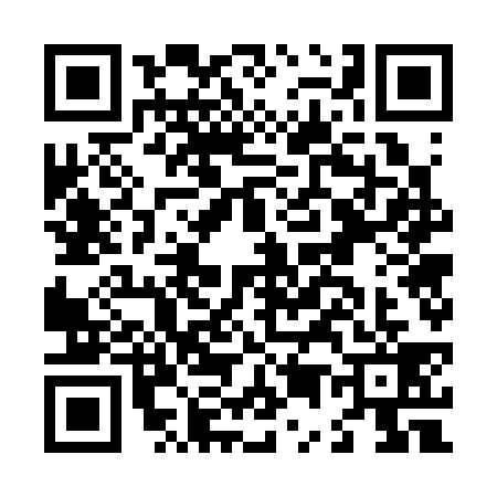 QR code for L573393