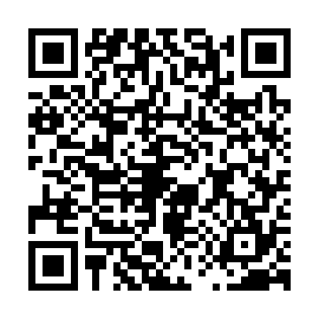 QR code for L573749