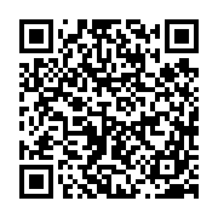 QR code for L58667