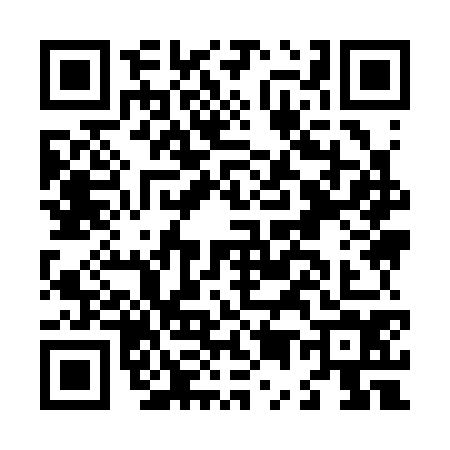 QR code for L593742