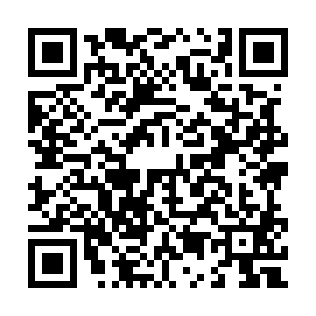 QR code for L595811