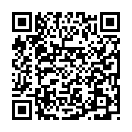 QR code for L595915