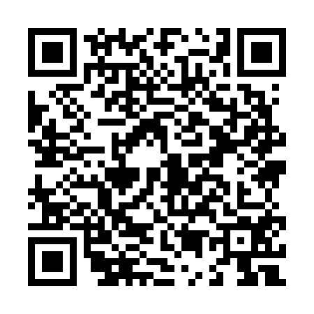 QR code for L596549