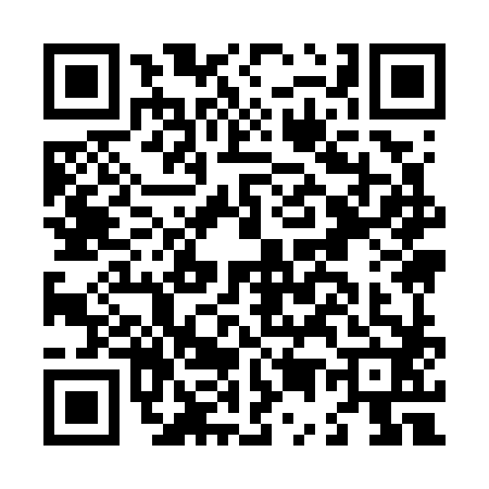 QR code for L597822