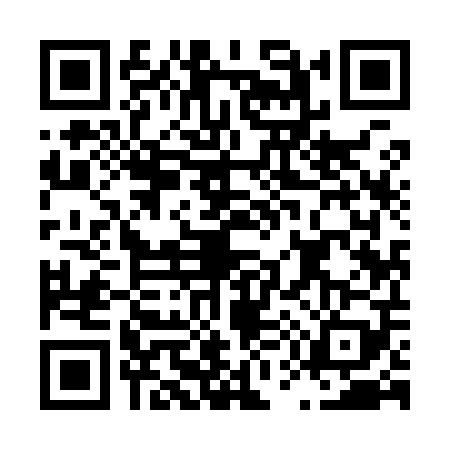 QR code for L599091