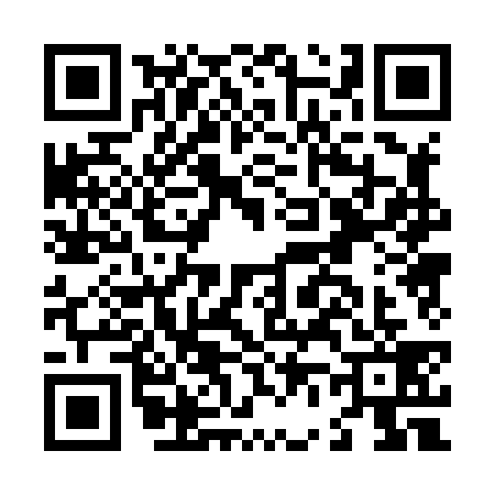 QR code for L608390