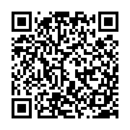 QR code for L61541