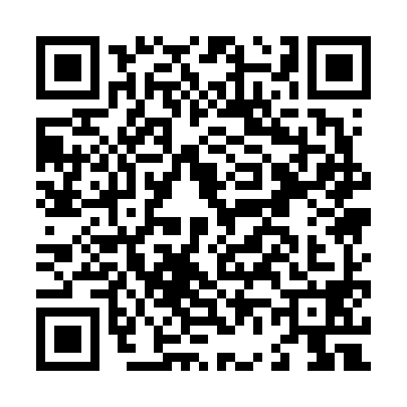 QR code for L616981