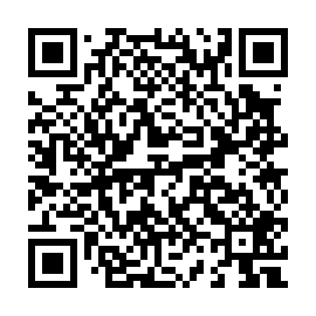 QR code for L63009