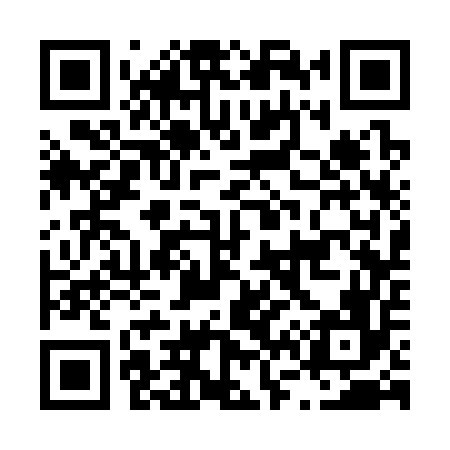 QR code for L63356