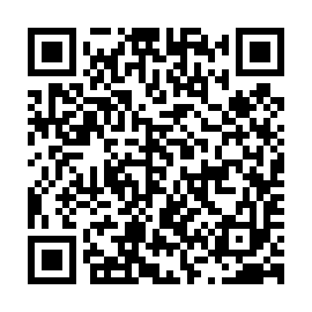 QR code for L63493
