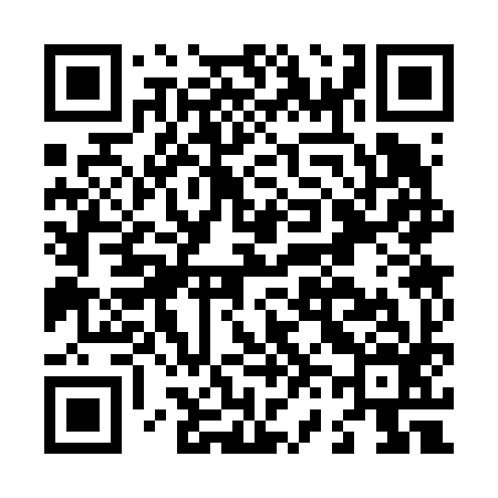 QR code for L63696