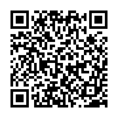 QR code for L63953