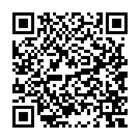 QR code for L641676