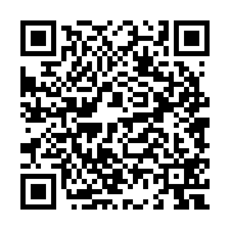 QR code for L642199