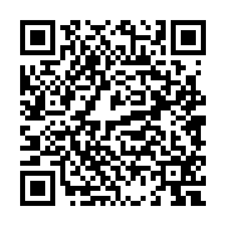 QR code for L643161