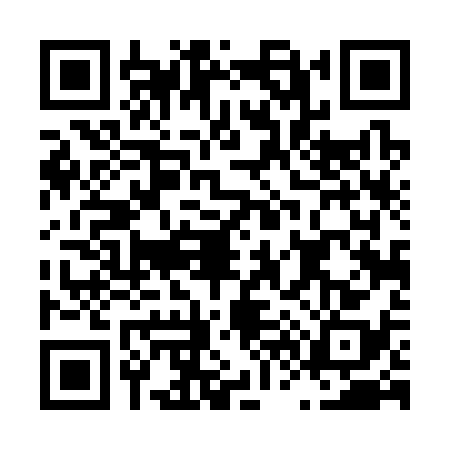 QR code for L643389