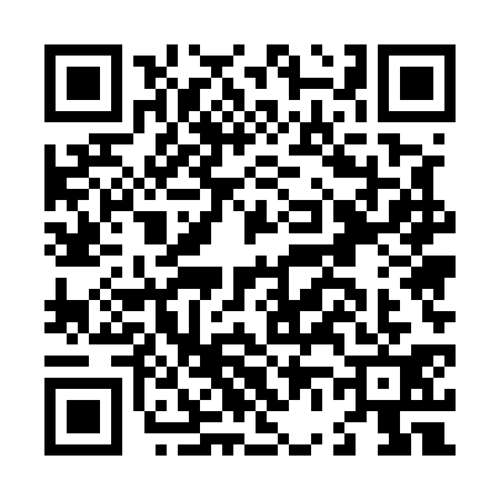 QR code for L655311