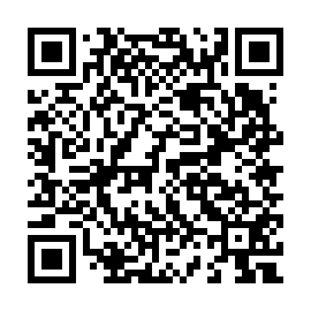 QR code for L65651