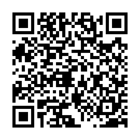 QR code for L667555