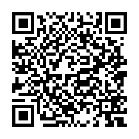QR code for L687593