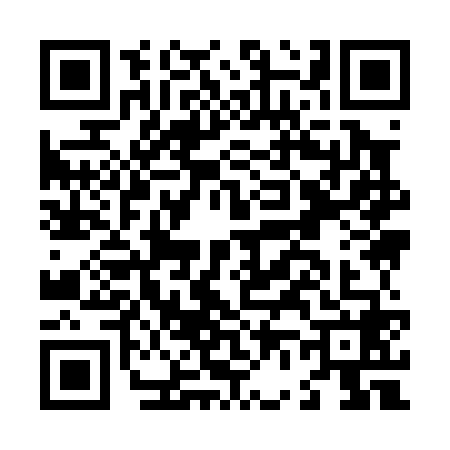 QR code for L690687