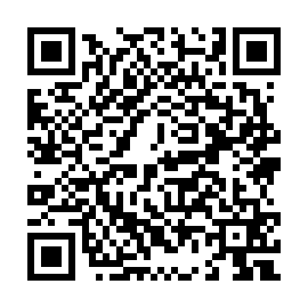 QR code for L696611