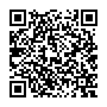 QR code for L776371