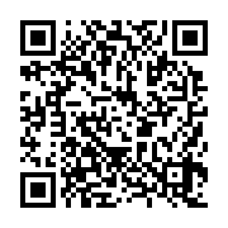 QR code for L80338