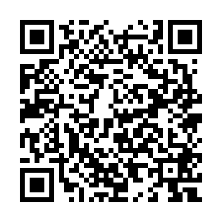 QR code for L816481